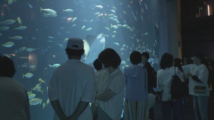 連休でにぎわう四国水族館　海に隣接…巨大地震に備え避難経路の確認も　香川・宇多津町