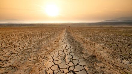 現地での損害査定はなし　異常気象から農家を救う「パラメトリック保険」に注目が集まる