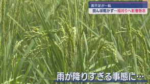 去年は猛暑・春先から水不足　梅雨明けの田んぼは…一転雨が「降りすぎ」で乾かしたいのに乾かず【新潟・十日町市】