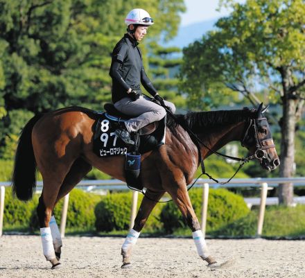 ３歳牝馬ピューロマジック、重賞３連勝で夏の快速女王戴冠そして秋の大舞台へ突き進む【競馬・ＣＢＣ賞】