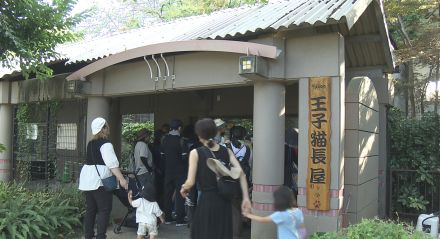 神戸市立王子動物園で涼しい夕暮れ時に夜の動物たちを観察する「トワイライトZOO」 開演時間を通常の2時間延長 イベントは14日まで ／兵庫県