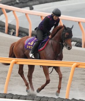 【札幌記念】ジオグリフ　2年ぶり重賞Vへ!陣営期待「週ごとに状態も上がってきてる」