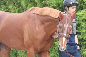 きさらぎ賞勝ち馬ビザンチンドリームは神戸新聞杯で復帰【次走報】