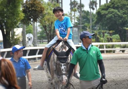 乗馬体験「かわいい」　宮崎市・育成牧場で触れ合う催し