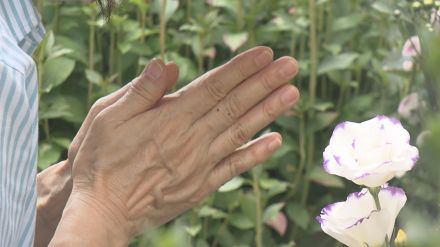 きょう「盆の入り」各地で墓参り　真夏日予想、熱中症警戒アラート発表中　福島