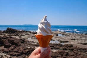 アイスクリームやシャーベットをよく食べているのは……沖縄も東京でもなく意外なあの都市だった！最も少なかったのはなんと、那覇市！