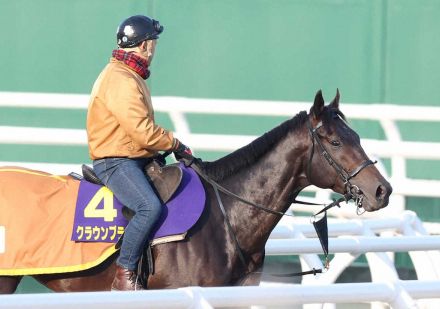 韓国国際競走に日本馬6頭選定　コリアカップのクラウンプライド、ウィルソンテソーロなど