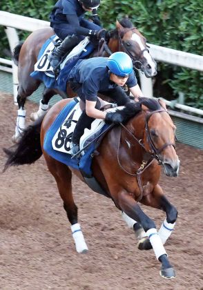 【ＣＢＣ賞】２連勝中キタノエクスプレスが重賞初挑戦　坂口調教師「芝で差す競馬を覚えたのが大きい」