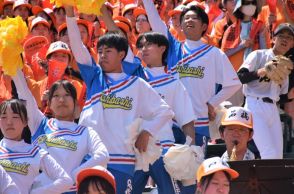 男子チアも甲子園デビュー、初勝利を後押し　石橋　夏の甲子園