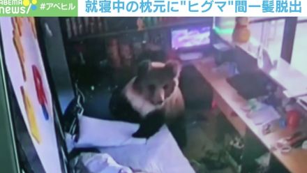 中国人はクマにビビらない！？ 「寝床に侵入」したヒグマを冷静にあしらった瞬間