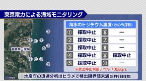 【8月13日公表】海水と魚のモニタリング結果（福島）