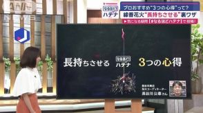 線香花火を長く楽しめる「裏ワザ」プロに聞く“3つの心得”