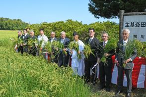 主基斎田跡で豊作祝う　明治神宮崇敬講が抜き穂祭　鴨川（千葉県）