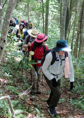 駒頭山歩き心地よい汗　愛好者ら　深緑の景色楽しむ　岩手・花巻