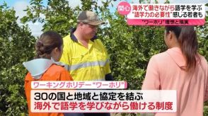 海外で働きながら語学力アップ“理想と現実”……滞在期間1年“ワーホリ”に若者が注目『every.16時特集』