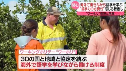 海外で働きながら語学力アップ“理想と現実”……滞在期間1年“ワーホリ”に若者が注目『every.16時特集』