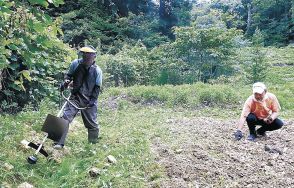 仮設暮らしに「憩いの農園」　能登島の有志、引きこもり防止へ荒れ地整備