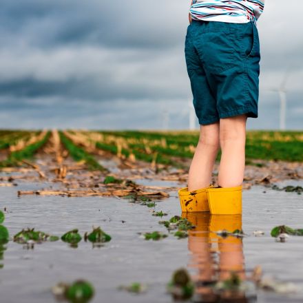 大豪雨なのに集団登校なんて、まるで軍隊…豪雨で見えた「学校現場の命に関わるナンセンスルール」