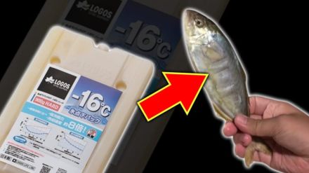 「いやいや嘘でしょ？」もはや魚が凍ってる、超ロングセラー保冷剤。そりゃ売れるわ…