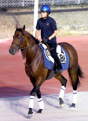 【ＣＢＣ賞】２連勝中のキタノエクスプレスが坂路で豪快　坂口調教師「スピードの持続力がある」