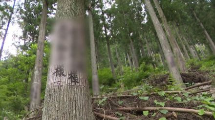 森の中に多くの「遺骨」　“自然葬”を主張する寺に住民は困惑　三重・大台町