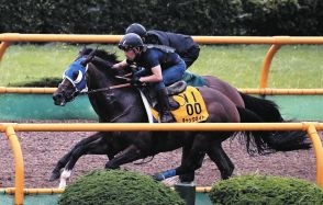 【札幌記念】チャックネイト、馬なりで2馬身先着　堀師「馬場が悪くなればチャンスはある」やや慎重姿勢