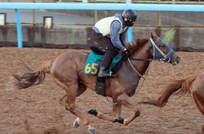 【新潟２歳Ｓ】１週前追い　コートアリシアンは計時エラーも半馬身先着　伊藤大師「抜け出すまでが本当に速い」