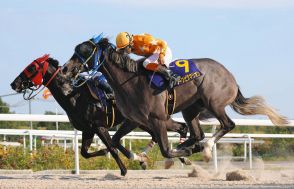 【中スポ杯・岐阜金賞】1番人気・フークピグマリオン、壮絶な叩き合いの末に鼻差制す　東海ダービー馬の面目躍如　