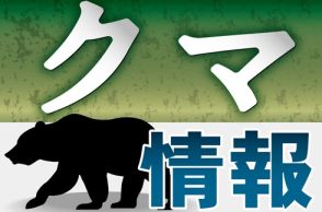 神社前の市道でクマの成獣１頭と幼獣２頭を目撃　島根県浜田市　数時間後にも近くの県道で、同じ親子とみられるクマの目撃情報