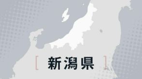 新潟県内の養豚農場で豚熱を初確認　15日から約450頭殺処分へ