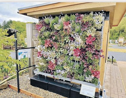 緑あふれる福祉施設に　射水市とジャパンフラワー、９月プロジェクト開始　挿し木や花 利用者が種植え、水やり