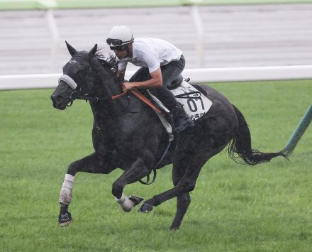 ナムラクレア順調仕上がり　浜中騎手を背に１週前追い「健康状態も良さそう」／キーンランドＣ