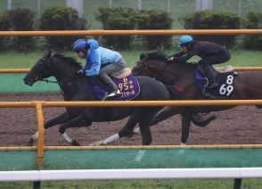 シャフリヤール復権Ｖへ　不良馬場なんの余力残し先着、これぞダービー馬の風格／札幌記念