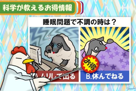 科学の教え、よく眠れずに体調が悪い時は「休んだほうがお得」 無理して仕事がダメな理由