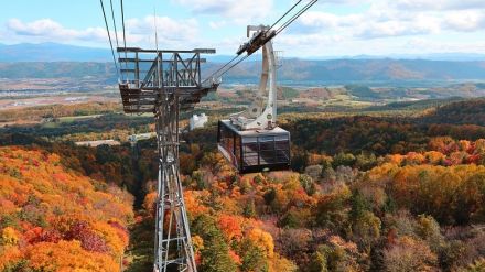 富良野スキー場で10月からロープウェーの紅葉営業。絶景空中散歩を愛犬と一緒に