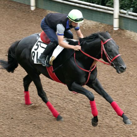 【ＣＢＣ賞】グレイトゲイナーが坂路で４９秒４の一番時計　陣営「さらに上積みはある」