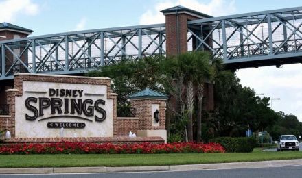 米ディズニー、パークで死亡した女性の夫にDisney+を利用していたことを理由に裁判取り下げを求める