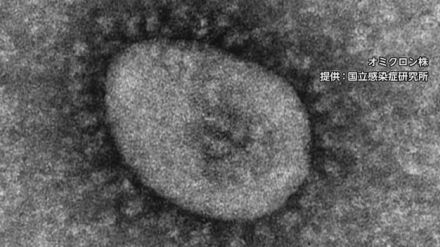 新型コロナは2週連続で減少、手足口病は8週連続で警戒レベル開始基準値「5」を超える【長崎】