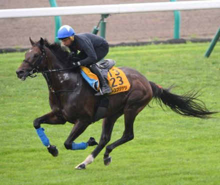 【札幌記念】ノースブリッジ　心身共に整った、奥村武師「軽い内容は予定通り」