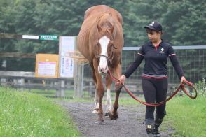 19歳オウケンブルースリ　ボテッと動かないおじさん、コラボパンで人気再然