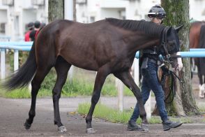 【今週の注目新馬】〝３億円ホース〟ショウナンバルドルが日曜札幌でいよいよ出陣！鞍上は池添