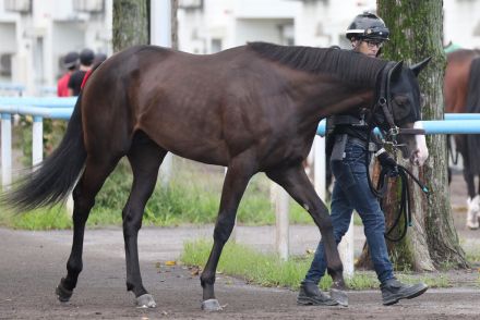 【今週の注目新馬】〝３億円ホース〟ショウナンバルドルが日曜札幌でいよいよ出陣！鞍上は池添