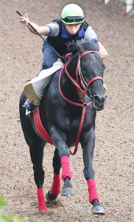 【ＣＢＣ賞】グレイトゲイナー坂路一番時計！ルーキー吉村を背に一変気配