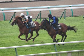 【札幌記念】ボッケリーニ８歳でも衰えなし！　浜中俊騎手「洋芝の２０００メートルはすごく合う」