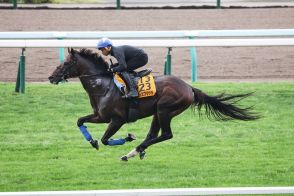 【札幌記念】ノースブリッジ重賞３勝目へ　札幌芝コースで軽快な動き