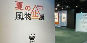 甲子園、ビアガーデン、夏野菜…猛暑で「夏の風物詩」消滅の未来図も？　WWFジャパンが東京・渋谷で企画展