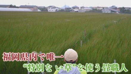 福岡県内で唯一“無染土”のイ草を使用する畳職人　「若い人にも畳の良さを」“畳の景色”を守るため魅力発信