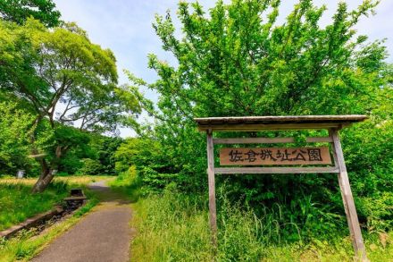 【戦後79年】千葉県の公園に残る「奇妙な階段」、その悲しすぎる目的とは〈写真付き〉