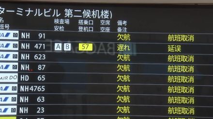 台風7号がお盆休みを直撃…観光客やUターン客に大きな影響　羽田空港は16日午後は全便欠航に…職員の姿もなく閑散