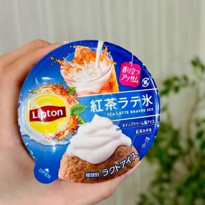 【アイス】猛暑の味方！ コンビニやスーパーで買える！美味アイスレビュー